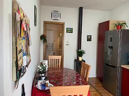 Apartment Tomi