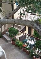 Apartment Bianca