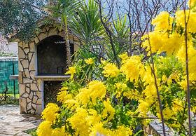 House Bozena