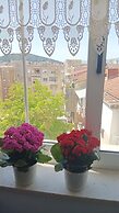 Apartment Dragica