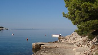 Apartments Branka