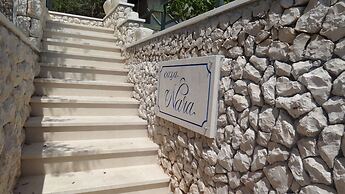 Apartments Branka