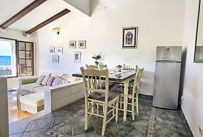 Apartments Branka