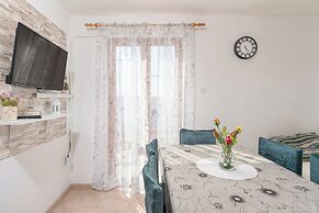 Apartments Darko