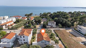 Apartments Darko