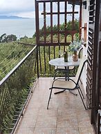 Apartment Damir