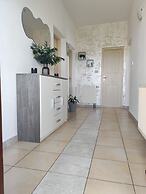 Apartment Damir