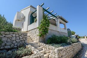 House Mirta