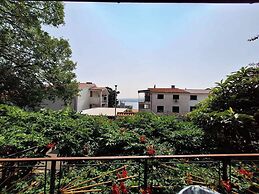 Apartment Ivy