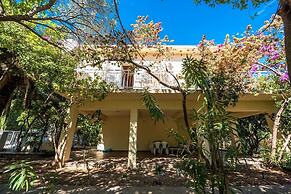 House Lidi