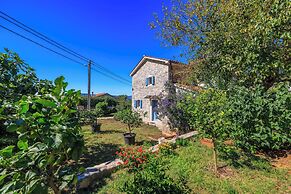 Apartments Insula Insule