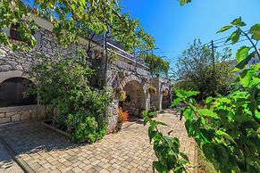 Apartments Insula Insule