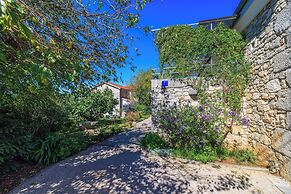 Apartments Insula Insule