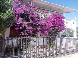 Apartments Marijan