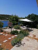 House Dragi