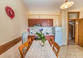 Apartments Dusan