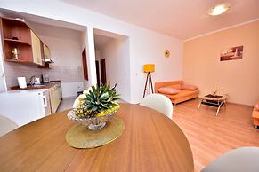 Apartment Roko
