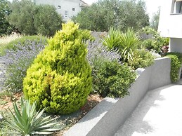 Apartments Dora
