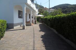 Apartments Ivo