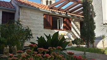 House Ivi
