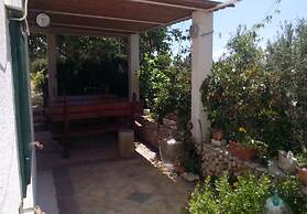 House Tomy