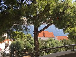Apartments Anto