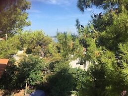 Apartments Anto