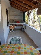 Apartment Darina