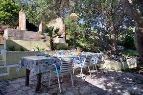 House Paradiso