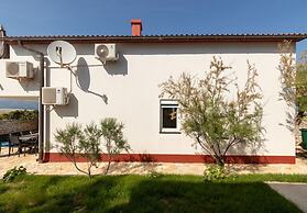 House Dali