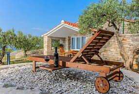 House Fani