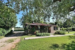 House Ariella