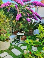 Room Garden