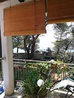 House More
