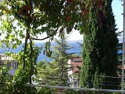 Apartments Josip II