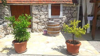 House Marie's Lavander Dream