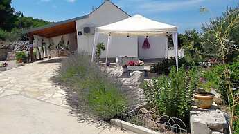 House Marie's Lavander Dream