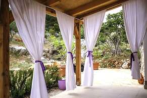 House Marie's Lavander Dream
