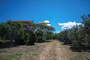 Apartments Saric