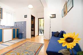 Apartments Miro