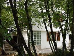 Apartments Miro