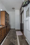 Apartment Rot