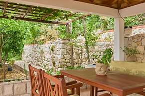 Apartments Jany