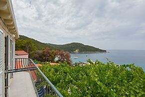Apartments Jany