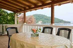 Apartments Jany