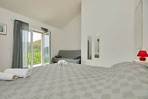 Apartments Jany