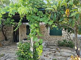 House Darin Dvor