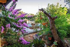 House Garden House