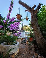 House Garden House