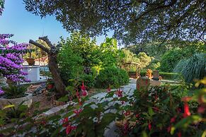 House Garden House